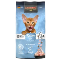 Leonardo Kitten Gf