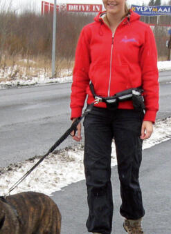 Pawise Hands Free Doggy Jogger Kit