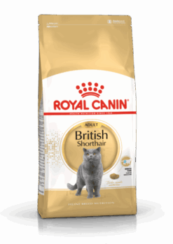 Royal Canin - British Shorthair