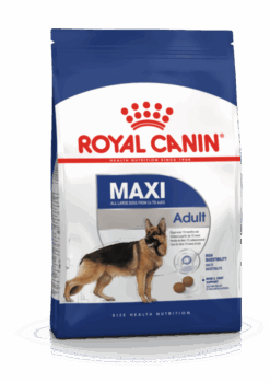 Royal Canin - Maxi Adult Dog