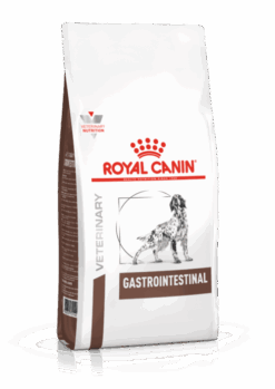 Royal Canin - Gastrointestinal Dog 2Kg
