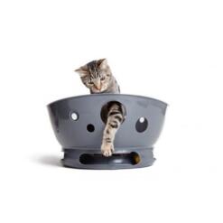 Jackson Galaxy Space Station