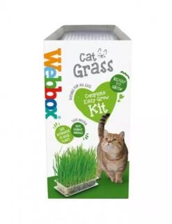 Webbox - Cat Grass