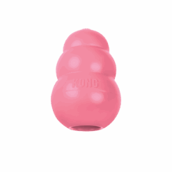 Kong Puppy - Large