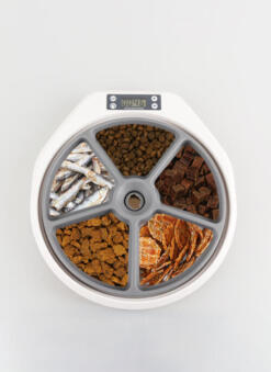 Pawise Automatic Pet Feeder (5 meals)