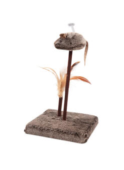 Pawise Play-N-Squeak