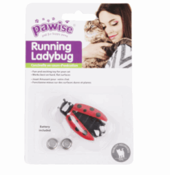 Running Ladybug