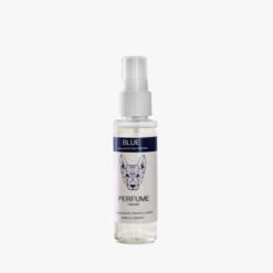 Blue Perfume Coconut 50 ML