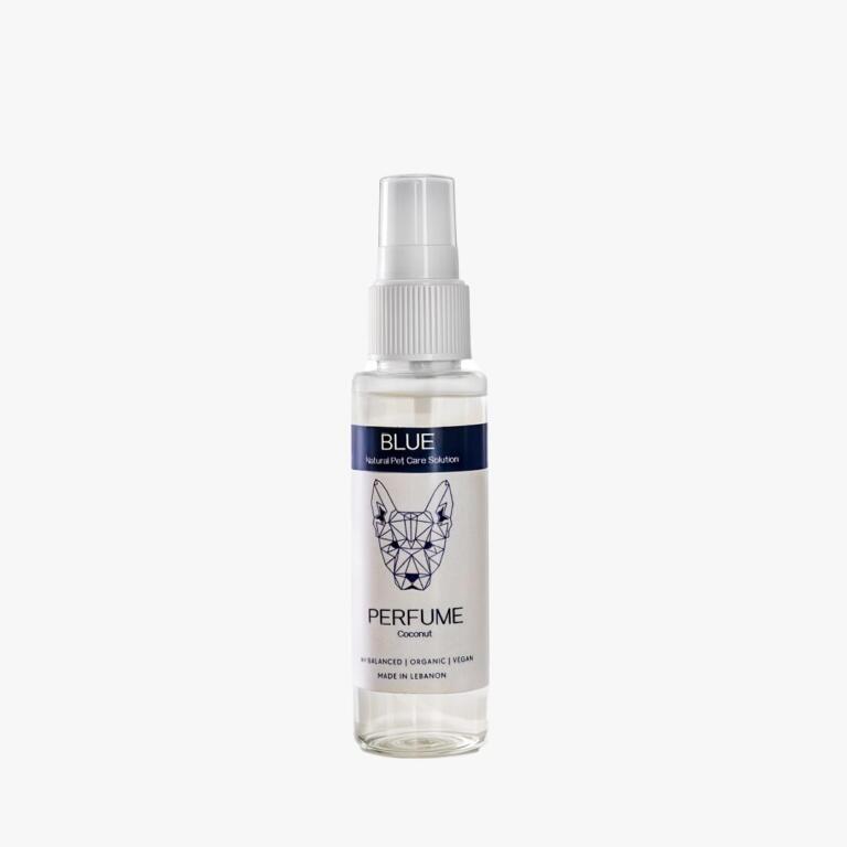 Blue Perfume Coconut 50 ML