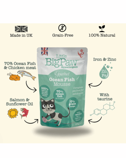 Little Big Paw Ocean Fish 85g - Image 2
