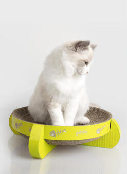 Pawise Round Scratcher