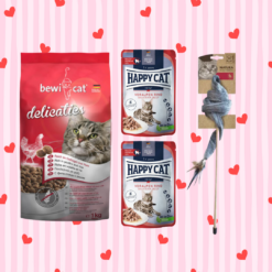 VDAY - Cat Bundle (1)