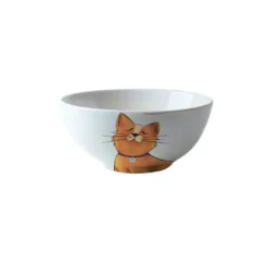 Pet Joy Furry Feast Ceramic Bowl - Galya 550 ML