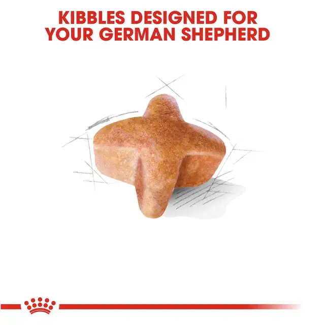 Royal Canin - German Shepherd 11 kg - Image 2